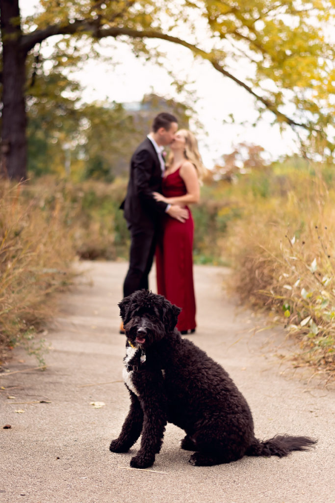 An engagement session for an engaged couple with a black dog in Lincoln Park in the fall by a wedding photographer Mila Craila Photography