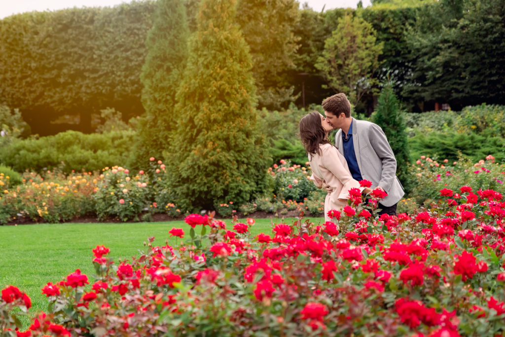 An engagement session for an engaged couple kissing in the rose garden at Chicago Botanic Garden in the summer by a wedding photographer Mila Craila Photography